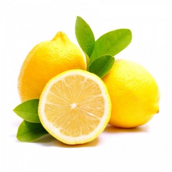 Lemon (Citrus Limon)